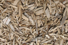 biomass boilers Papplewick